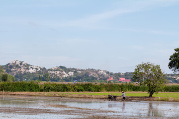 Farmers working in Thailand