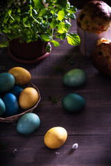 Blue, green and yellow Easter eggs  on rustic table wood. Natural shades, natural dyes