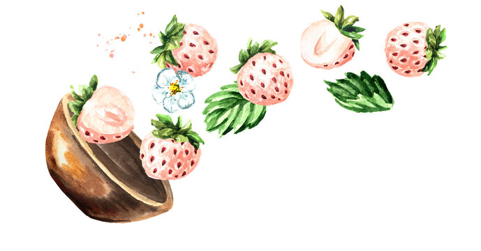 Bowl with ripe Pineberries or white strawberry. Hand drawn horizontal watercolor illustration, isolated on white background