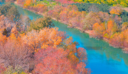 Fototapeta na wymiar Colorful majestic Goksu river in national park with autumn forest - Mersin, Turkey