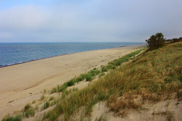 Fototapeta na wymiar The sandy shore of the Baltic Sea