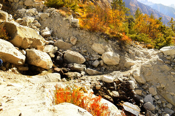 wild mountain trails