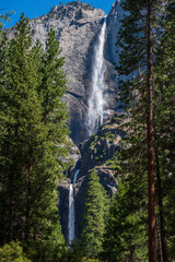 Obrazy na Szkle  Górne i dolne wodospady Yosemite w Parku Narodowym Yosemite.