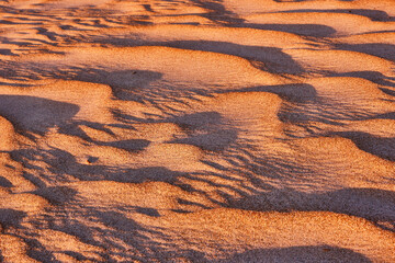 Harmonious lines of sand in the desert at sunset; bizarre wind patterns in the soft light of the setting sun