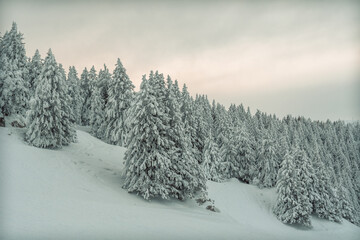 Annecy, le Semnoz en hiver