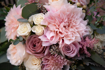 Blush