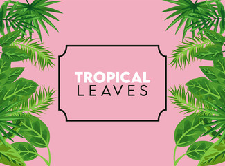tropical leaves lettering poster with leafs in square frame in pink color background