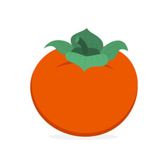 Persimmon. Persimmon color flat vector illustration. Hand drawn persimmon graphic. Part of set.