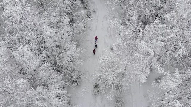 People walk along the snowy walking trail