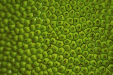 green fruit texture