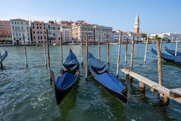 Gondolas at the Grand Canal in Venice with the famous Campanile in the back