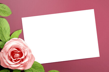 Empty white paper and pink rose with a colored background