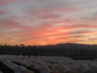 Fototapeta premium sunset at the mountains 