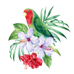 Parrots-lovebird and palm leaves, tropical hibiscus flowers on a white background, watercolor illustration