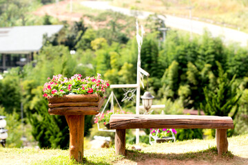 Chair with flower pot, beautiful garden view, Northern Thailand