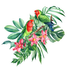 Composition with parrots-lovebirds and palm leaves, tropical flowers on a white background, watercolor illustration