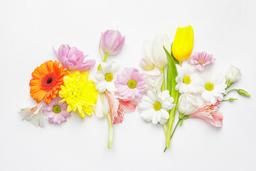 Beautiful spring flowers on white background