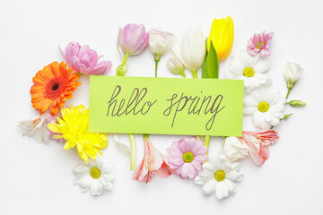 Card with text HELLO SPRING and beautiful flowers on white background © Pixel-Shot