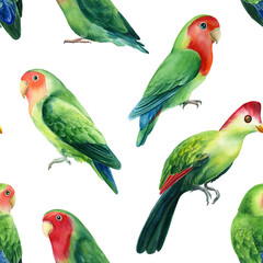 Parrots lovebirds on white background, watercolor illustration. Seamless patterns. 