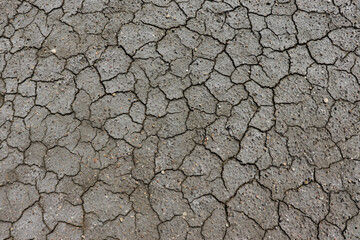 Texture of the earth in cracks, drought, dried soil