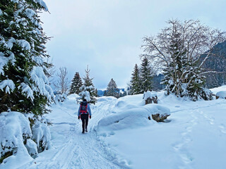 Hikers and walkers on the beautiful idyllic fresh snow of the Swiss Alps and on slopes of the...
