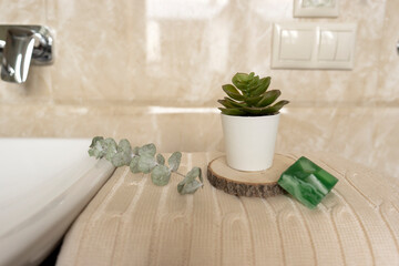 The potted succulent stands on the cotton towel decorating the interior of the modern bathroom