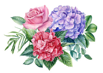 Flora design elements, rose flowers, hydrangea on white background, watercolor botanical illustration
