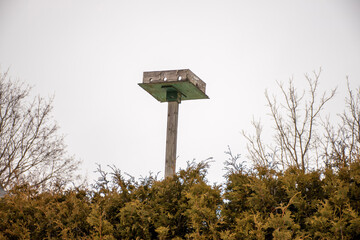 Bird house high up
