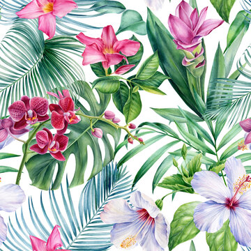 Palm leaves, tropical flowers orchid, hibiscus on white background, watercolor botanical. Seamless patterns. 