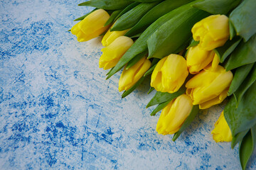 yellow tulips over blue painted surface