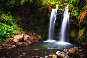Majestic Falls, McDowell Creek Falls County Park, Oregon
