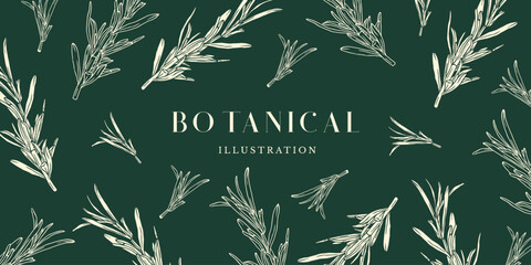 Obraz premium Natural and Healthy Herbs Illustration