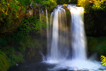 Obraz premium Koosah Falls, McKenzie River, Oregon