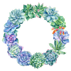 Succulents wreath, watercolor illustration, flora design, greeting card