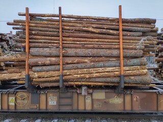 stack of pine tree trunks on train car
