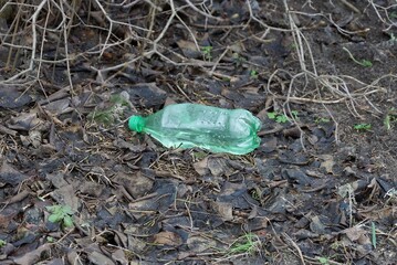 one green plastic bottle lies on gray brown leaves on nature