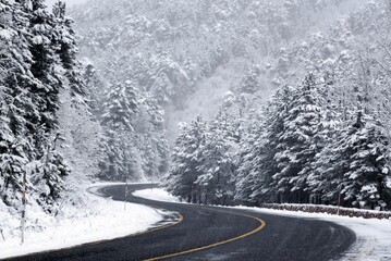 driving through the snow