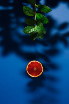 Grapefruit cut in half with green branch casting shadow over a blue background. Minimal flat lay summer concept.