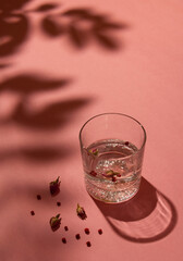 Crystal glass with gin and tonic garnished with rose buds and red peppercorns on a pastel pink background. Plant shadow over the scene. Minimal summer drink concept.