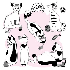Funny set of cats. Collection of cute characters.Vector illustration