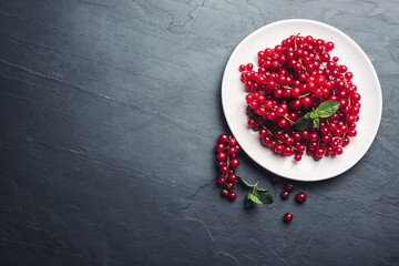 Delicious red currants and mint on black slate table, flat lay. Space for text