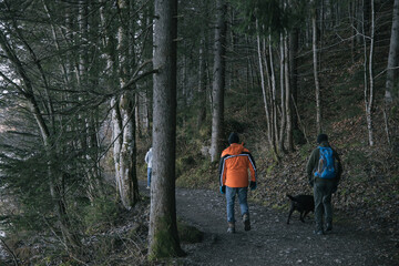 Zwei Wanderer und ein Hund spazieren in Füssen am Weißensee im Wald, Oberallgäu, Bayern, Deutschland