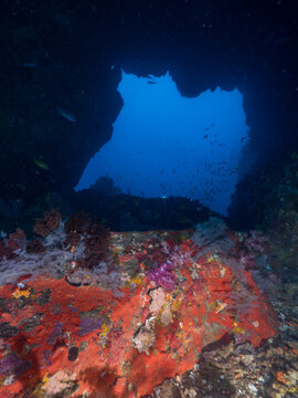 The opening of underwater cave (Mergui archipelago, Myanmar)