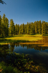 Reflets sur un grand lac