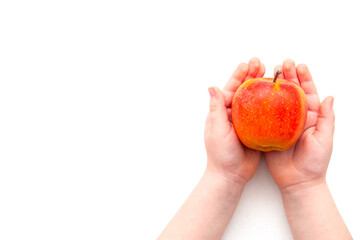 Baby two hands hold apple on white background. Toddler's hands and fresh fruit top view. Flat lay diet and healthy food concept. place for text