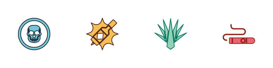 Set Mexican skull coin, Tabasco sauce, Agave and Cigar icon. Vector.