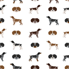 Brittany spaneil seamless pattern. Different poses set. Adult and puppy dogs infographic.