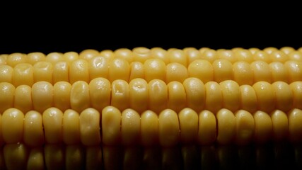 Hot corn. Juicy ripe sweetcorn cob. Close up.