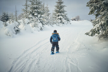 schneeschuhwanderung im Harz