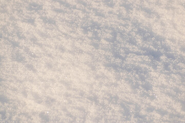 Fresh show background